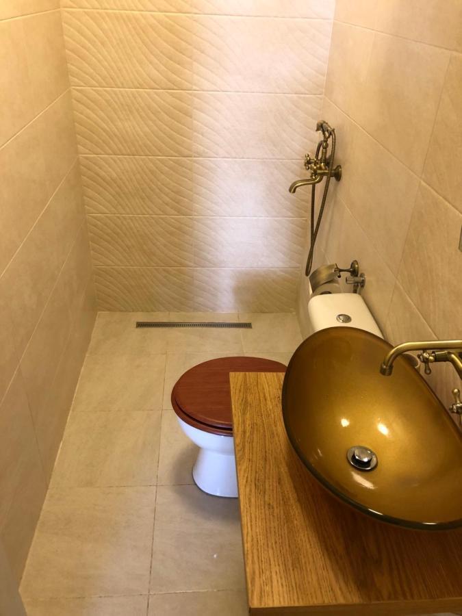 Studio Gh. Lazar Apartman Nagyszeben Kültér fotó